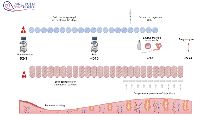 2 - FERC HRT with OCP Frozen embryo transfer