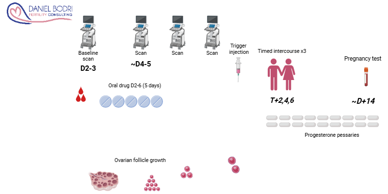 21 - OI letrozole Ovulation induction