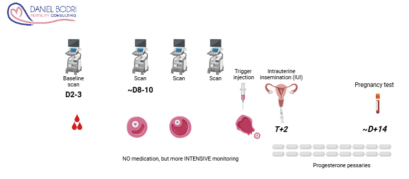 22 - IUI natural IUI Natural