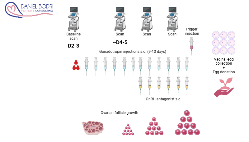 9 - Egg donation Egg donation