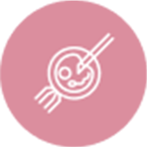 IVF