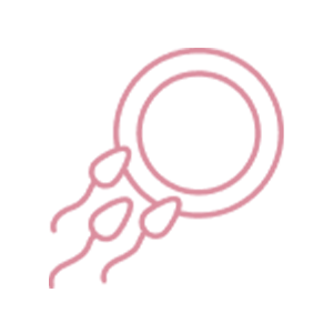 Embryo